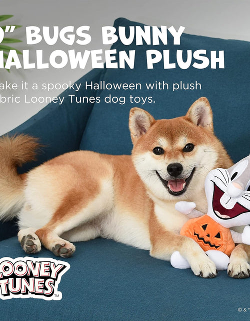 Load image into Gallery viewer, for Pets Bugs Bunny Halloween Big Head Pumpkin Plush Dog Toy | Stuffed Animal Toy for Dogs, Medium Dog Toy Bugs Bunny Squeaky Dog Toy Dog Chew Toy, 9 Inch, (FF16973)
